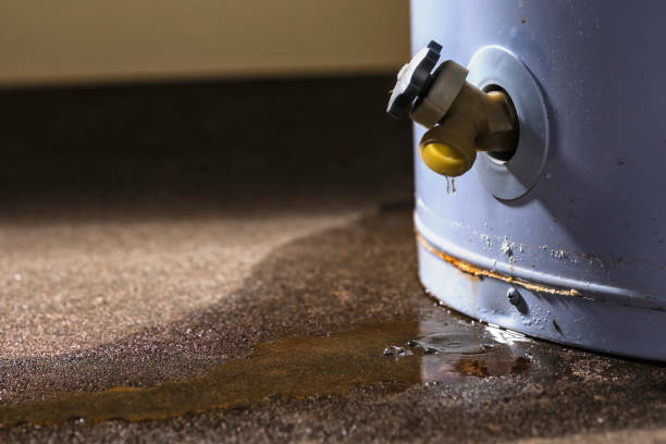 Best 24-hour water damage restoration  in Taylor, AZ