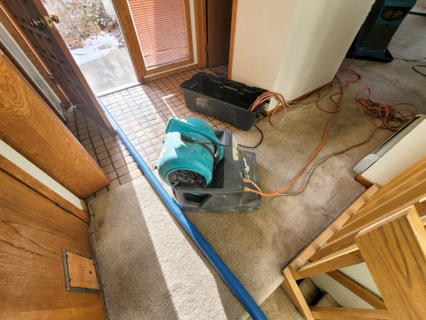 Water damage restoration insurance claims in Taylor, AZ