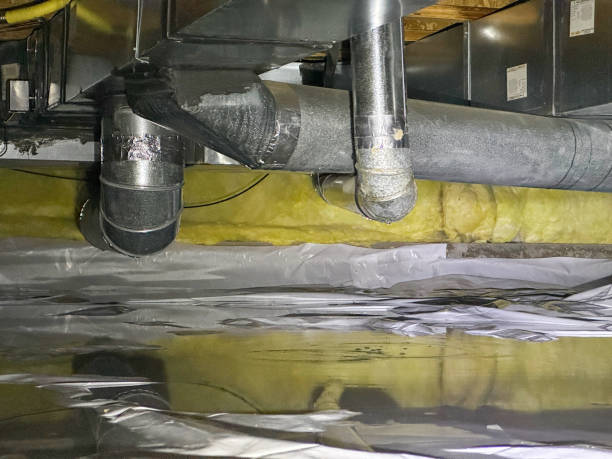 Best Flood damage cleanup  in Taylor, AZ